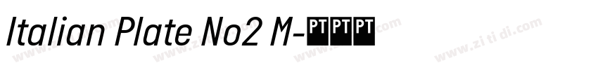 Italian Plate No2 M字体转换